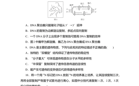 夯基提能练19DNA分子的结构和复制、基因的本质-备战2023高考生物一轮复习夯基提能练（全国通用）（解析版）_通用版（老高考）复习资料_2023年复习资料_一轮复习