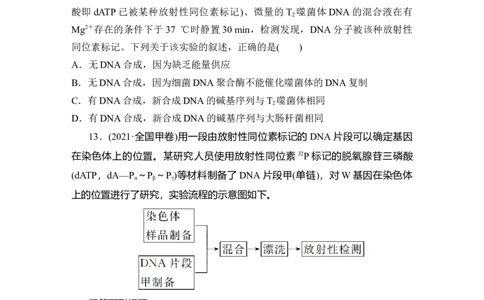 夯基提能练19DNA分子的结构和复制、基因的本质-备战2023高考生物一轮复习夯基提能练（全国通用）（解析版）_通用版（老高考）复习资料_2023年复习资料_一轮复习