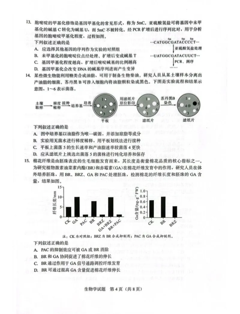 厦门市2026届高中毕业班模拟测试生物_2024-2026高三（6-6月题库）_2026年04月高三试卷_260403福建厦门市2026届高中毕业班第二次质量检测（全科）