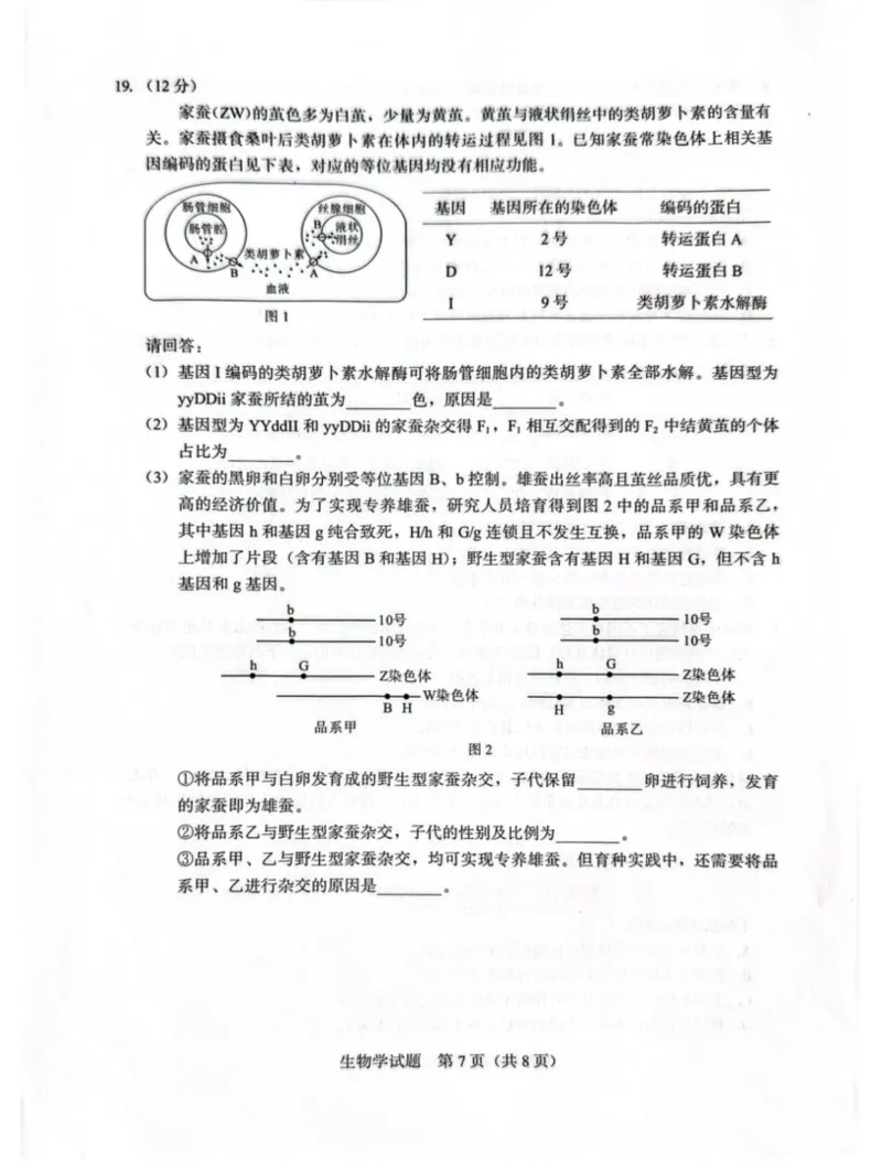 厦门市2026届高中毕业班模拟测试生物_2024-2026高三（6-6月题库）_2026年04月高三试卷_260403福建厦门市2026届高中毕业班第二次质量检测（全科）