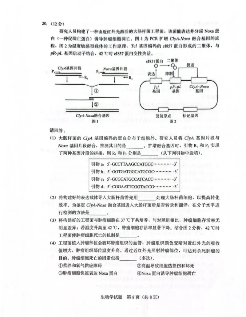厦门市2026届高中毕业班模拟测试生物_2024-2026高三（6-6月题库）_2026年04月高三试卷_260403福建厦门市2026届高中毕业班第二次质量检测（全科）