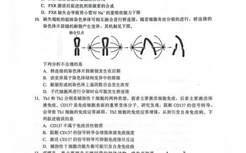 厦门市2026届高中毕业班模拟测试生物_2024-2026高三（6-6月题库）_2026年04月高三试卷_260403福建厦门市2026届高中毕业班第二次质量检测（全科）