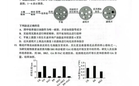 厦门市2026届高中毕业班模拟测试生物_2024-2026高三（6-6月题库）_2026年04月高三试卷_260403福建厦门市2026届高中毕业班第二次质量检测（全科）