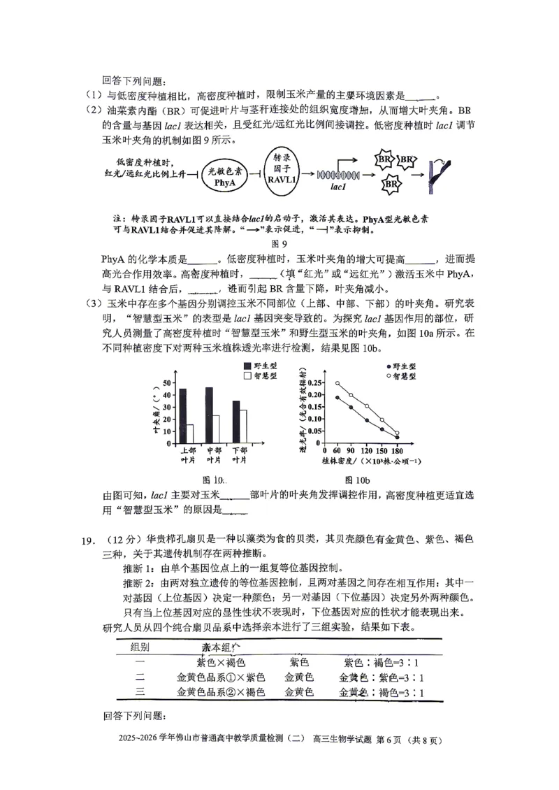 生物试题卷_2024-2026高三（6-6月题库）_2026年04月高三试卷_260416广东省佛山市2025-2026学年佛山市普通高中教学质量检测（二）（全科）