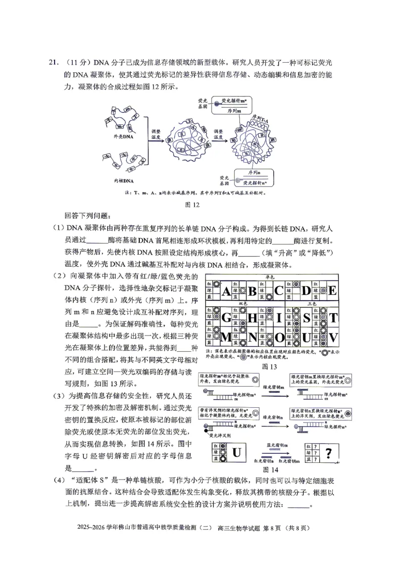 生物试题卷_2024-2026高三（6-6月题库）_2026年04月高三试卷_260416广东省佛山市2025-2026学年佛山市普通高中教学质量检测（二）（全科）