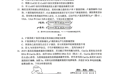 生物试题卷_2024-2026高三（6-6月题库）_2026年04月高三试卷_260416广东省佛山市2025-2026学年佛山市普通高中教学质量检测（二）（全科）
