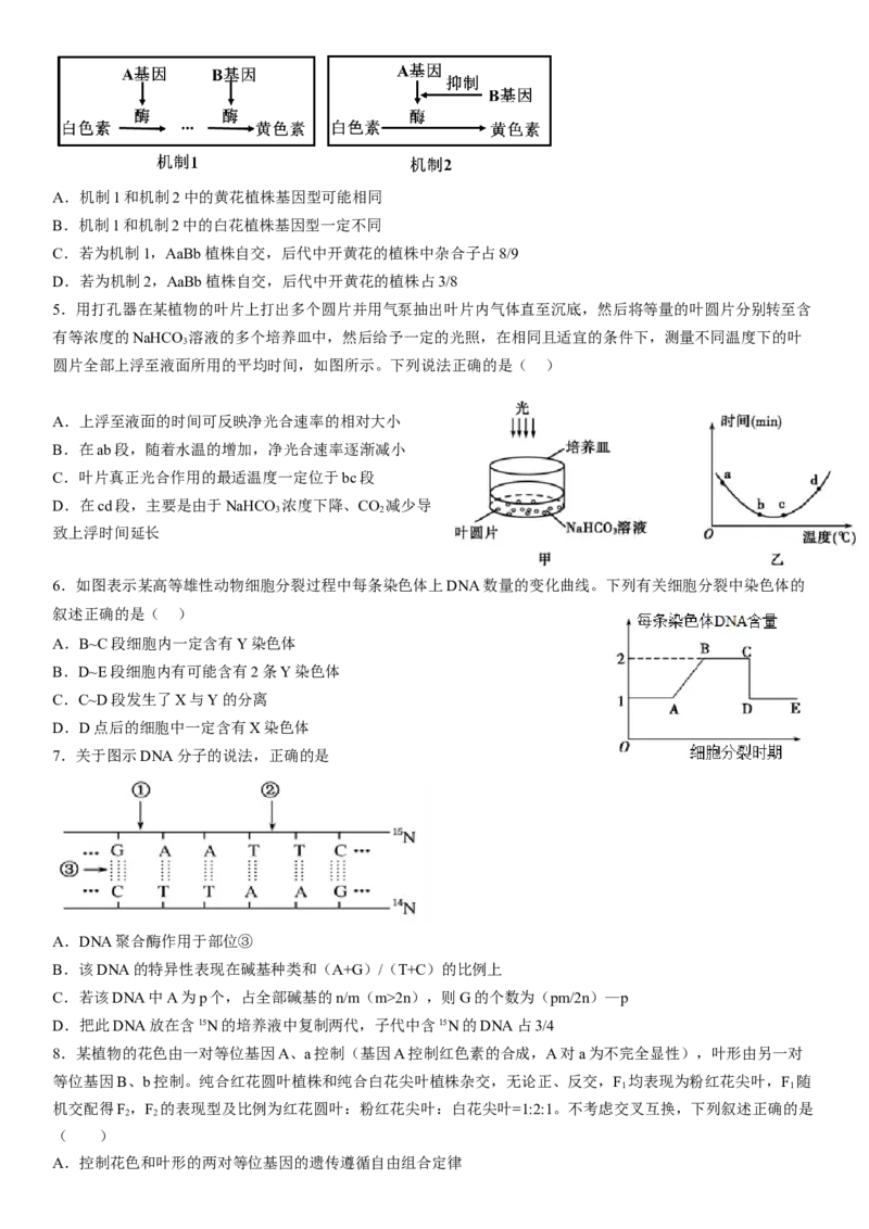 大连市第二十四中学2022-2023学年度高考适应性测试（一）生物试题_生物高考模拟题_新高考_2023年_2023辽宁省大连市第二十四中学高三上学期高考适应性测试（一模）生物
