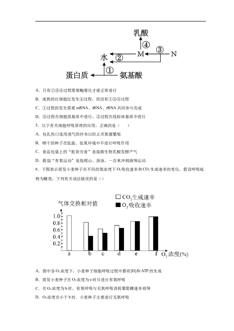 易错点07细胞呼吸的场所、过程及方式-备战2023年高考生物考试易错题（新教材新高考）（原卷版）_新高考复习资料_2023年新高考复习资料_专项复习