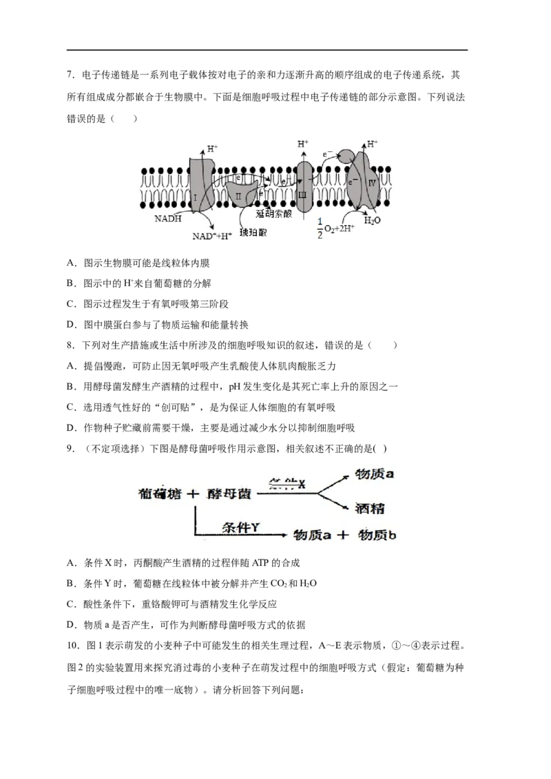 易错点07细胞呼吸的场所、过程及方式-备战2023年高考生物考试易错题（新教材新高考）（原卷版）_新高考复习资料_2023年新高考复习资料_专项复习