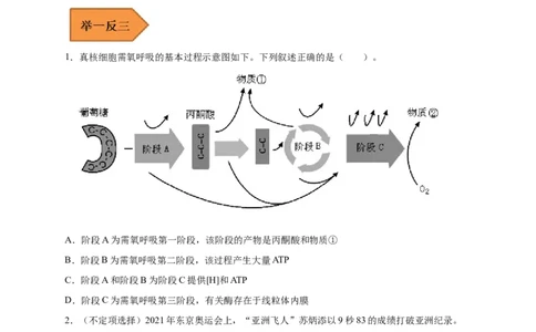 易错点07细胞呼吸的场所、过程及方式-备战2023年高考生物考试易错题（新教材新高考）（原卷版）_新高考复习资料_2023年新高考复习资料_专项复习