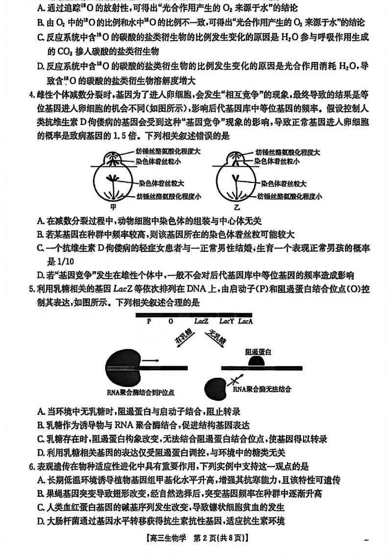 生物试题卷安徽省2026年安徽省示范高中皖北协作区第28届联考(3.26-3.27)_2024-2026高三（6-6月题库）_2026年03月高三试卷_260328安徽省2026年安徽省示范高中皖北协作区第28届联考(全科)