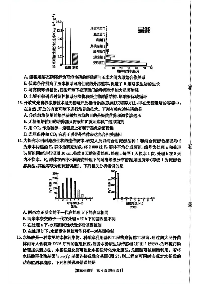 生物试题卷安徽省2026年安徽省示范高中皖北协作区第28届联考(3.26-3.27)_2024-2026高三（6-6月题库）_2026年03月高三试卷_260328安徽省2026年安徽省示范高中皖北协作区第28届联考(全科)