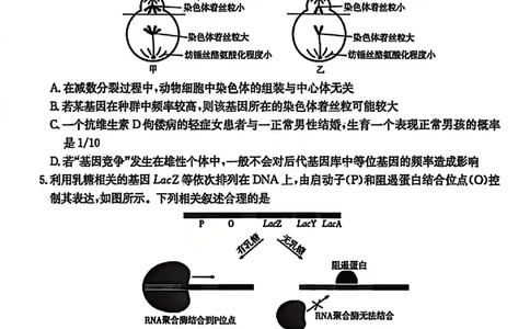 生物试题卷安徽省2026年安徽省示范高中皖北协作区第28届联考(3.26-3.27)_2024-2026高三（6-6月题库）_2026年03月高三试卷_260328安徽省2026年安徽省示范高中皖北协作区第28届联考(全科)
