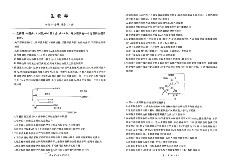 百师联盟2026届高三4月22日适应性模拟考试_生物学_2024-2026高三（6-6月题库）_2026年04月高三试卷_260429河南省百师联盟2026届高三下学期4月联考（全科）