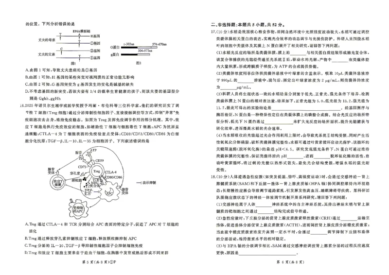 百师联盟2026届高三4月22日适应性模拟考试_生物学_2024-2026高三（6-6月题库）_2026年04月高三试卷_260429河南省百师联盟2026届高三下学期4月联考（全科）
