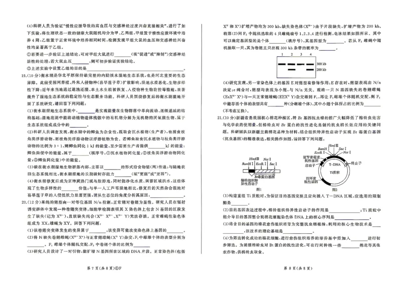 百师联盟2026届高三4月22日适应性模拟考试_生物学_2024-2026高三（6-6月题库）_2026年04月高三试卷_260429河南省百师联盟2026届高三下学期4月联考（全科）