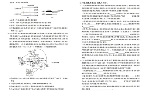 百师联盟2026届高三4月22日适应性模拟考试_生物学_2024-2026高三（6-6月题库）_2026年04月高三试卷_260429河南省百师联盟2026届高三下学期4月联考（全科）