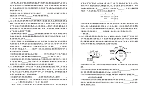 百师联盟2026届高三4月22日适应性模拟考试_生物学_2024-2026高三（6-6月题库）_2026年04月高三试卷_260429河南省百师联盟2026届高三下学期4月联考（全科）