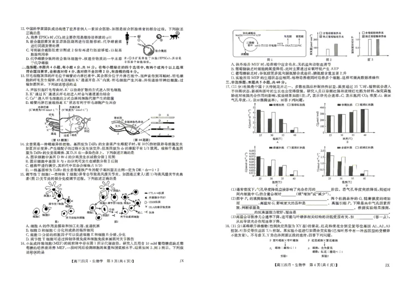 九师联盟2026届高三年级下学期4月测试生物试题_2024-2026高三（6-6月题库）_2026年04月高三试卷_260421九师联盟2026届高三年级下学期4月测试