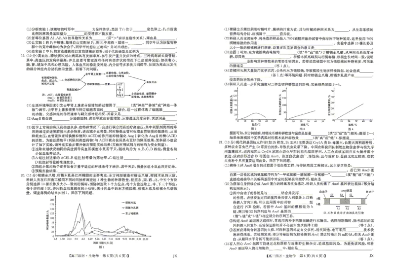 九师联盟2026届高三年级下学期4月测试生物试题_2024-2026高三（6-6月题库）_2026年04月高三试卷_260421九师联盟2026届高三年级下学期4月测试