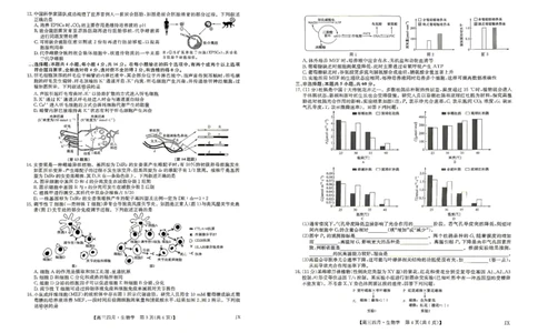 九师联盟2026届高三年级下学期4月测试生物试题_2024-2026高三（6-6月题库）_2026年04月高三试卷_260421九师联盟2026届高三年级下学期4月测试