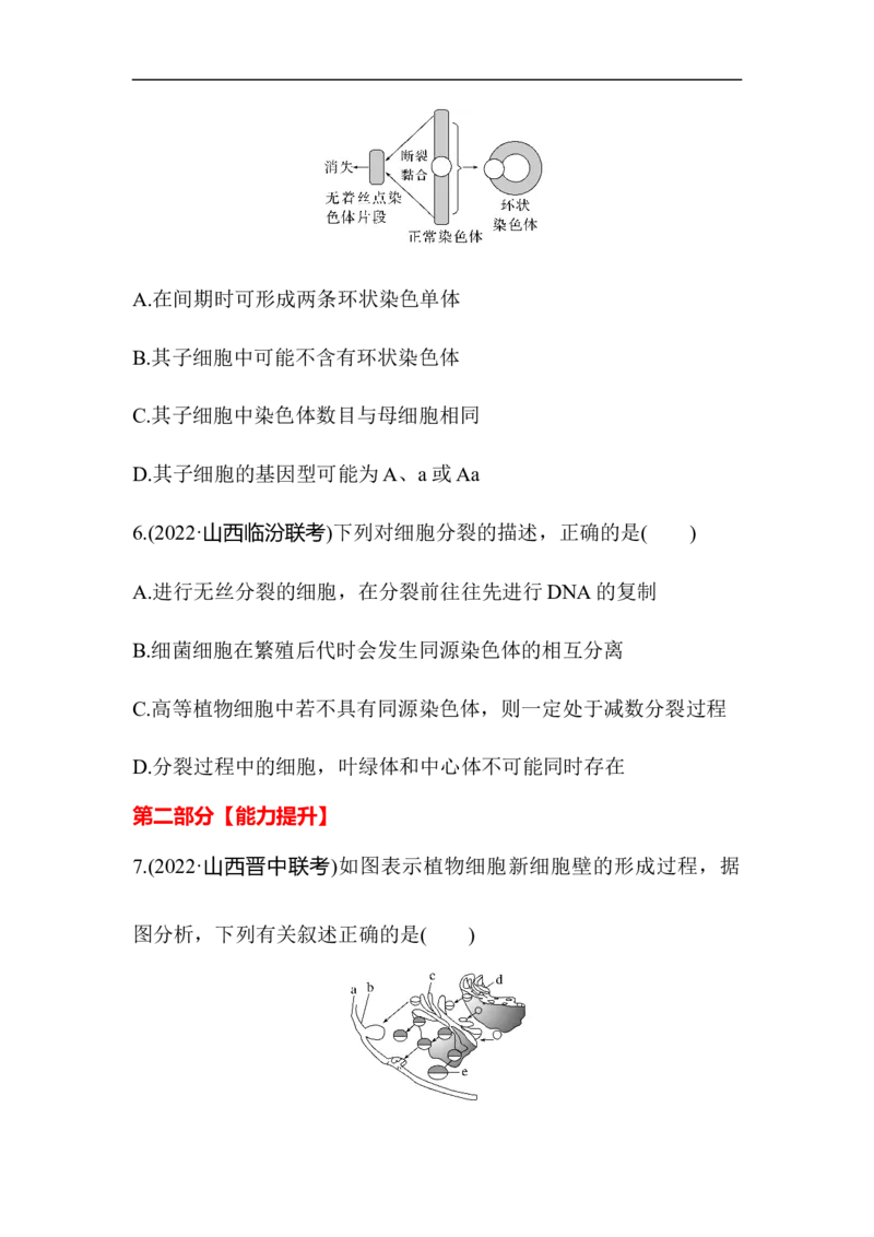 夯基提能练11细胞的增殖-备战2023高考生物一轮复习夯基提能练（全国通用）（解析版）_通用版（老高考）复习资料_2023年复习资料_一轮复习
