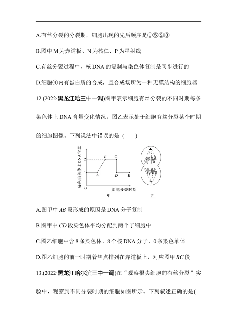 夯基提能练11细胞的增殖-备战2023高考生物一轮复习夯基提能练（全国通用）（解析版）_通用版（老高考）复习资料_2023年复习资料_一轮复习