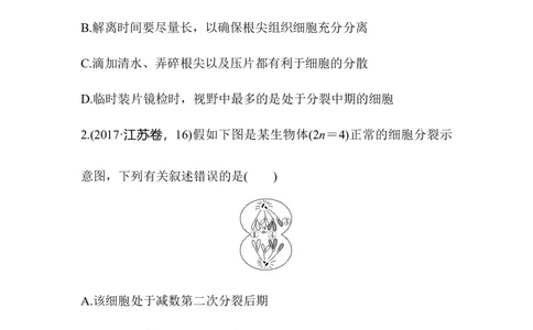 夯基提能练11细胞的增殖-备战2023高考生物一轮复习夯基提能练（全国通用）（解析版）_通用版（老高考）复习资料_2023年复习资料_一轮复习