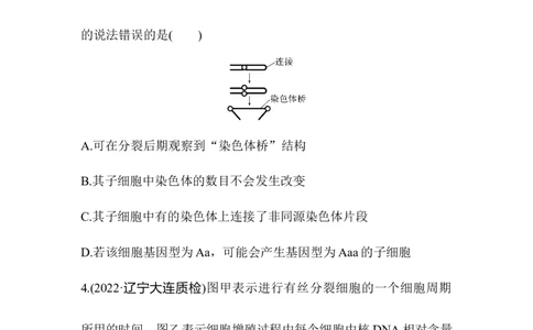 夯基提能练11细胞的增殖-备战2023高考生物一轮复习夯基提能练（全国通用）（解析版）_通用版（老高考）复习资料_2023年复习资料_一轮复习