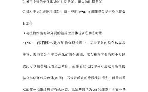夯基提能练11细胞的增殖-备战2023高考生物一轮复习夯基提能练（全国通用）（解析版）_通用版（老高考）复习资料_2023年复习资料_一轮复习