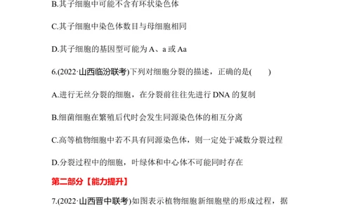 夯基提能练11细胞的增殖-备战2023高考生物一轮复习夯基提能练（全国通用）（解析版）_通用版（老高考）复习资料_2023年复习资料_一轮复习