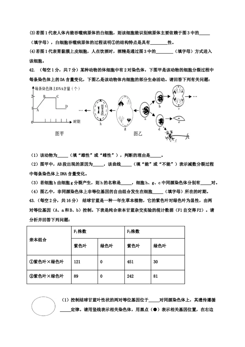 四川省绵阳市盐亭县中2023届高三上学期9月第一次模拟考试生物学试题（Word版含答案）_生物高考模拟题_老高考_2023年