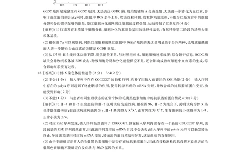 26届3月广东高三&middot;生物学答案_2024-2026高三（6-6月题库）_2026年03月高三试卷_260328广东江西稳派智慧上进教育联考2026届高三年级3月二轮复习阶段检测（全科）_生物