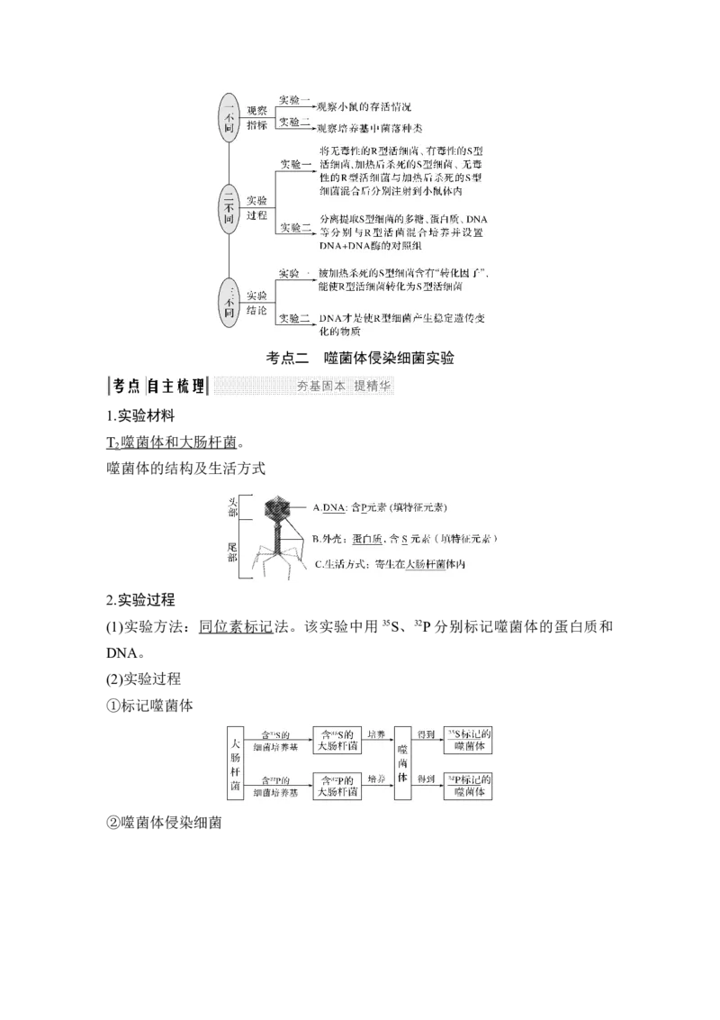 必修二第六单元第16讲_新高考复习资料_2022年新高考复习资料_2022年一轮复习最新版_1.2022年高考生物一轮复习全国通用版_2022年新高考生物一轮复习讲义（最新版）_赠送word习题库