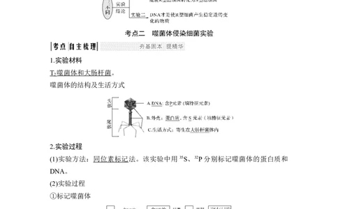 必修二第六单元第16讲_新高考复习资料_2022年新高考复习资料_2022年一轮复习最新版_1.2022年高考生物一轮复习全国通用版_2022年新高考生物一轮复习讲义（最新版）_赠送word习题库