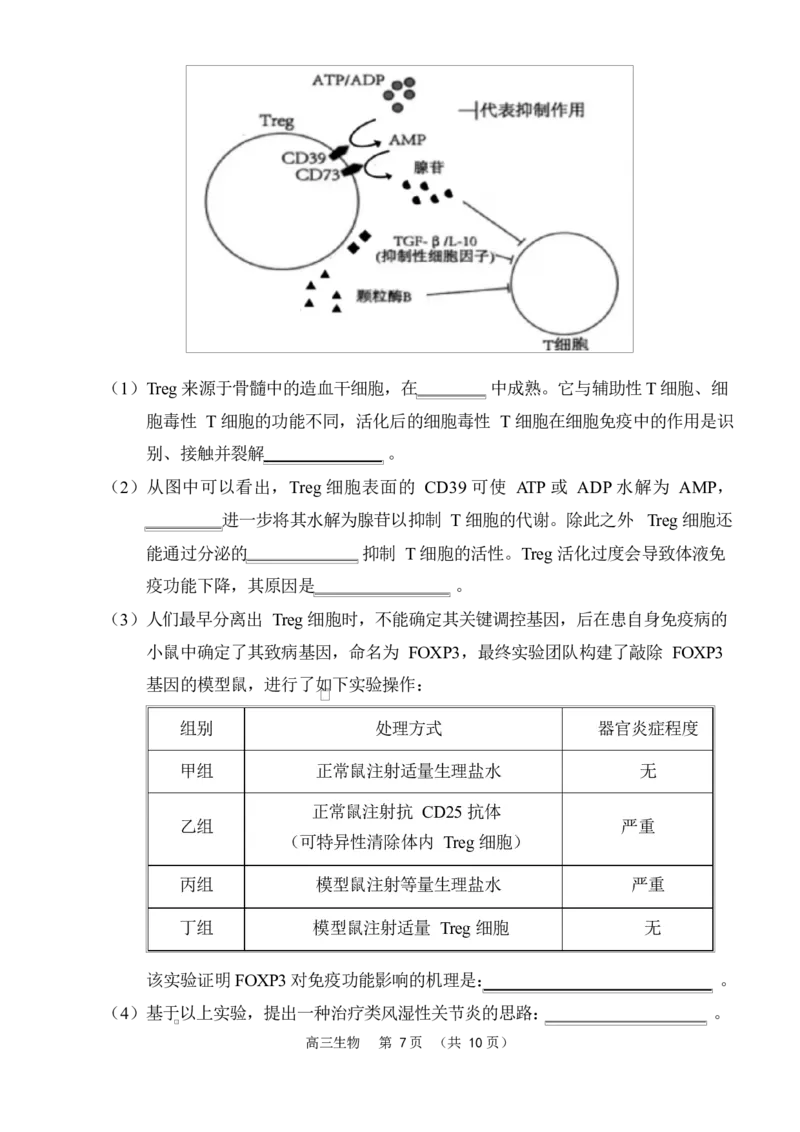 海南省海南中学海口一中文昌中学嘉积中学2026届高三下学期联考生物试题_2024-2026高三（6-6月题库）_2026年03月高三试卷