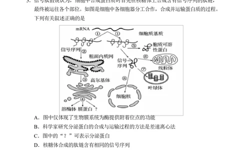 海南省海南中学海口一中文昌中学嘉积中学2026届高三下学期联考生物试题_2024-2026高三（6-6月题库）_2026年03月高三试卷