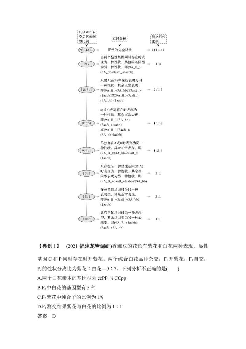 微专题11自由组合定律中的特殊比例及成因_通用版（老高考）复习资料_2023年复习资料_一轮复习_2023年高考生物一轮复习讲义+课件（全国版）_2023年高考生物一轮复习讲义（全国版）