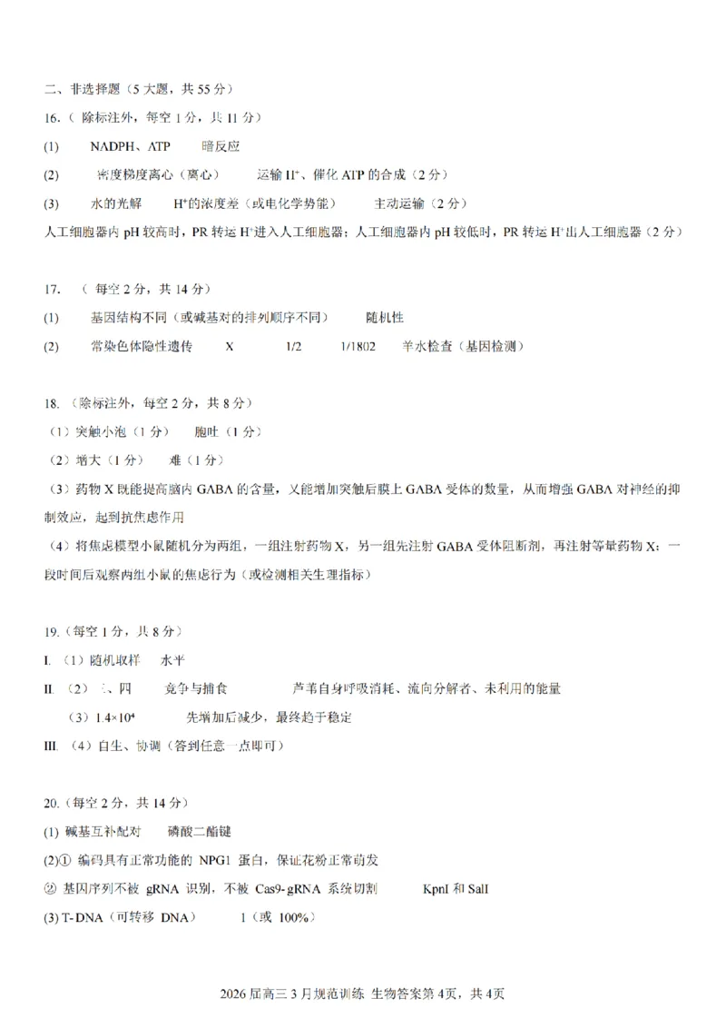 安徽省合肥市一六八中学2026届高三3月份规范训练生物答案_2024-2026高三（6-6月题库）_2026年03月高三试卷_260317安徽省合肥市一六八中学2026届高三3月份规范训练（全科）