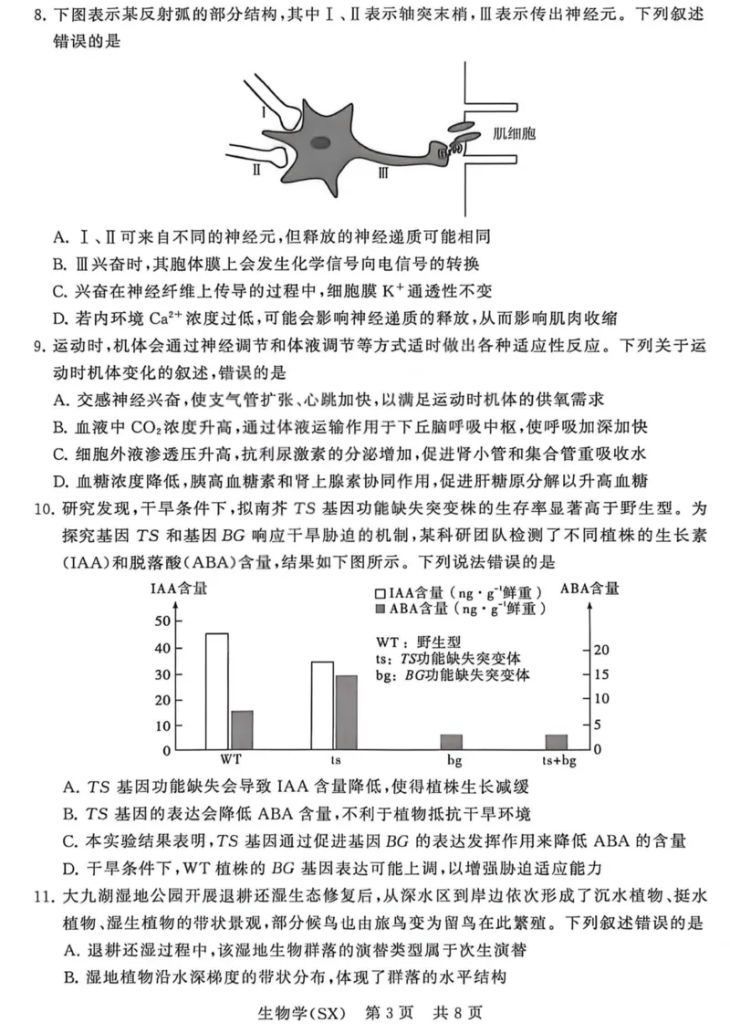 生物-山西版八省T8联考2026届高三年级四月阶段练习_2024-2026高三（6-6月题库）_2026年04月高三试卷_2604092026届八省八校T8联考高三下学期4月联合测评