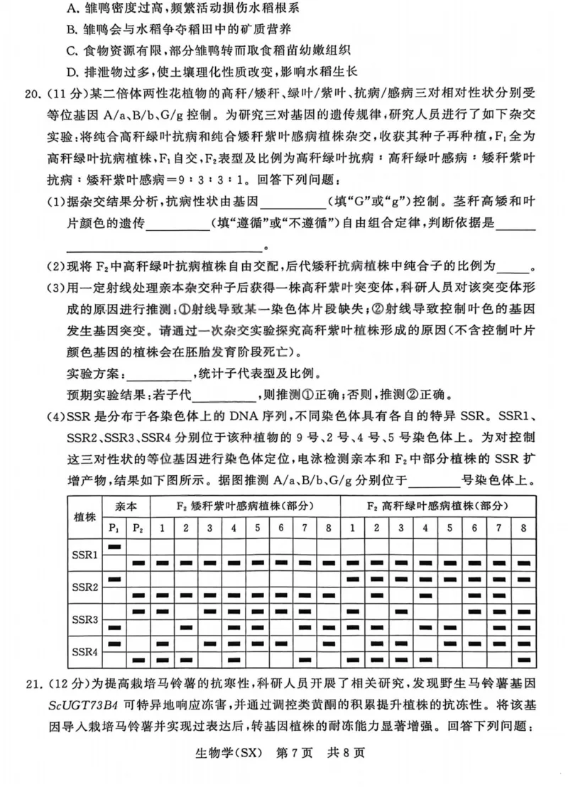 生物-山西版八省T8联考2026届高三年级四月阶段练习_2024-2026高三（6-6月题库）_2026年04月高三试卷_2604092026届八省八校T8联考高三下学期4月联合测评