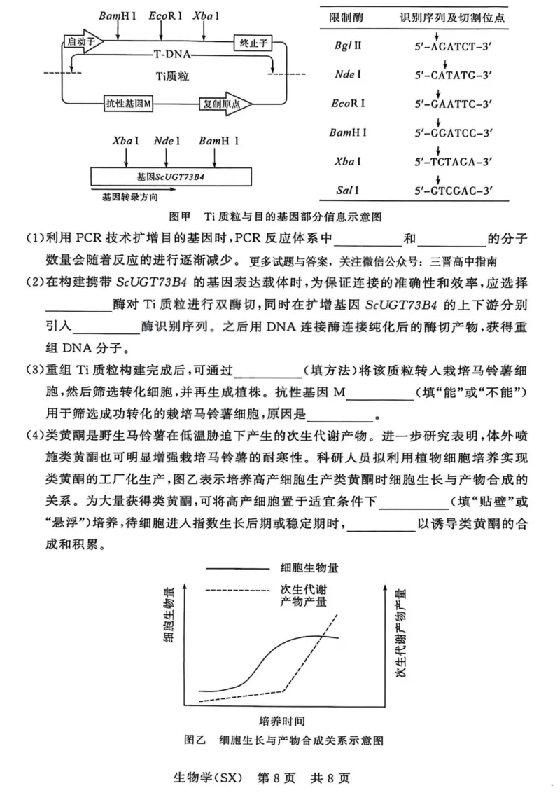 生物-山西版八省T8联考2026届高三年级四月阶段练习_2024-2026高三（6-6月题库）_2026年04月高三试卷_2604092026届八省八校T8联考高三下学期4月联合测评