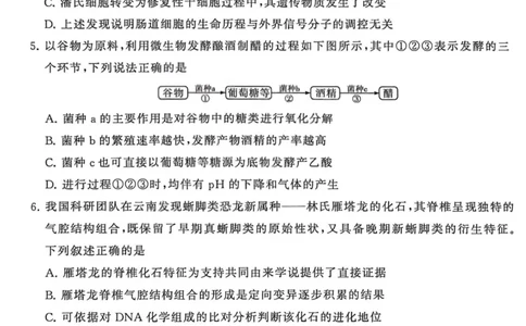 生物-山西版八省T8联考2026届高三年级四月阶段练习_2024-2026高三（6-6月题库）_2026年04月高三试卷_2604092026届八省八校T8联考高三下学期4月联合测评