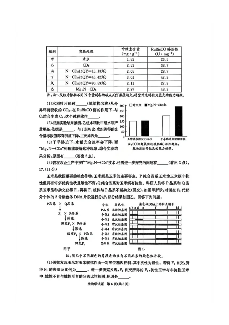 四川省成都市2023级高三第二次模拟测试生物_2024-2026高三（6-6月题库）_2026年03月高三试卷_260326四川省成都市2023级高三第二次模拟测试（全科）