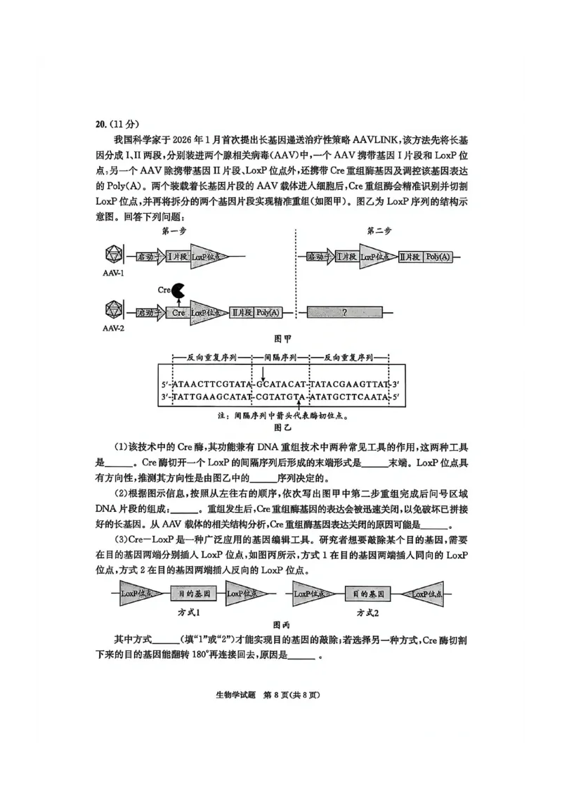 四川省成都市2023级高三第二次模拟测试生物_2024-2026高三（6-6月题库）_2026年03月高三试卷_260326四川省成都市2023级高三第二次模拟测试（全科）