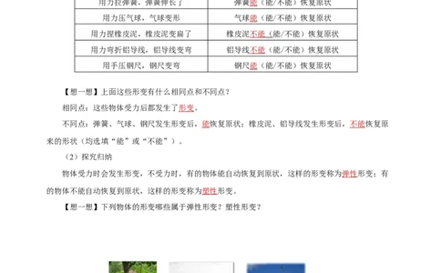 7.2弹力（导学案）-八年级物理下册同步备课系列（人教版）教师版_初物_2024人教版初中物理八九年级上下册课件教案PPT试题电子版资料_八年级下册教案_第七单元