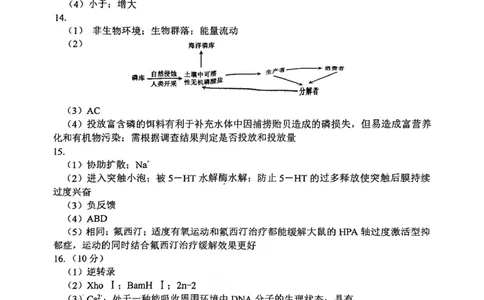 和平区2025-2026学年度高三年级第一次质量检测生物答案_2024-2026高三（6-6月题库）_2026年04月高三试卷_260407天津和平区2025-2026学年度高三年级一模（全科）