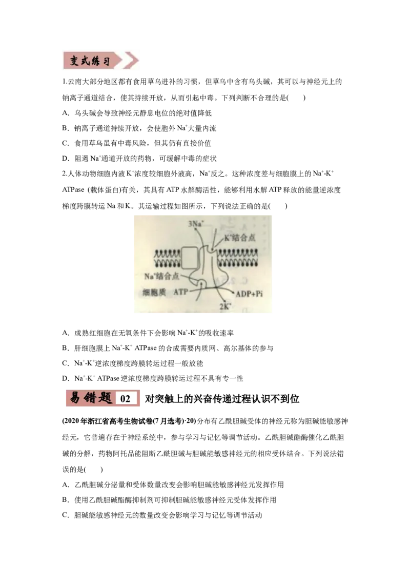 易错点11神经调节-2021年高考生物一轮复习易错题（学生版）_新高考复习资料_2023年新高考复习资料_一轮复习_2023年新高考大一轮复习讲义_赠2021年高考生物一轮复习易错题
