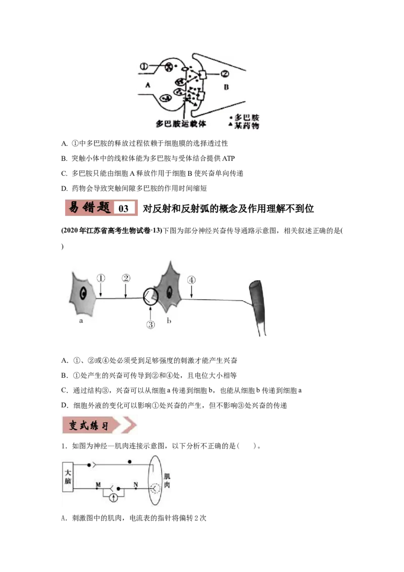 易错点11神经调节-2021年高考生物一轮复习易错题（学生版）_新高考复习资料_2023年新高考复习资料_一轮复习_2023年新高考大一轮复习讲义_赠2021年高考生物一轮复习易错题