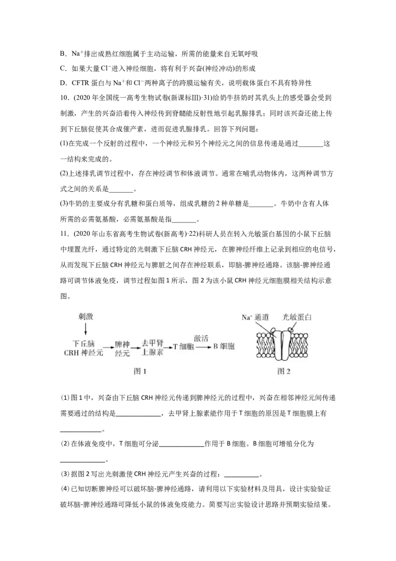 易错点11神经调节-2021年高考生物一轮复习易错题（学生版）_新高考复习资料_2023年新高考复习资料_一轮复习_2023年新高考大一轮复习讲义_赠2021年高考生物一轮复习易错题